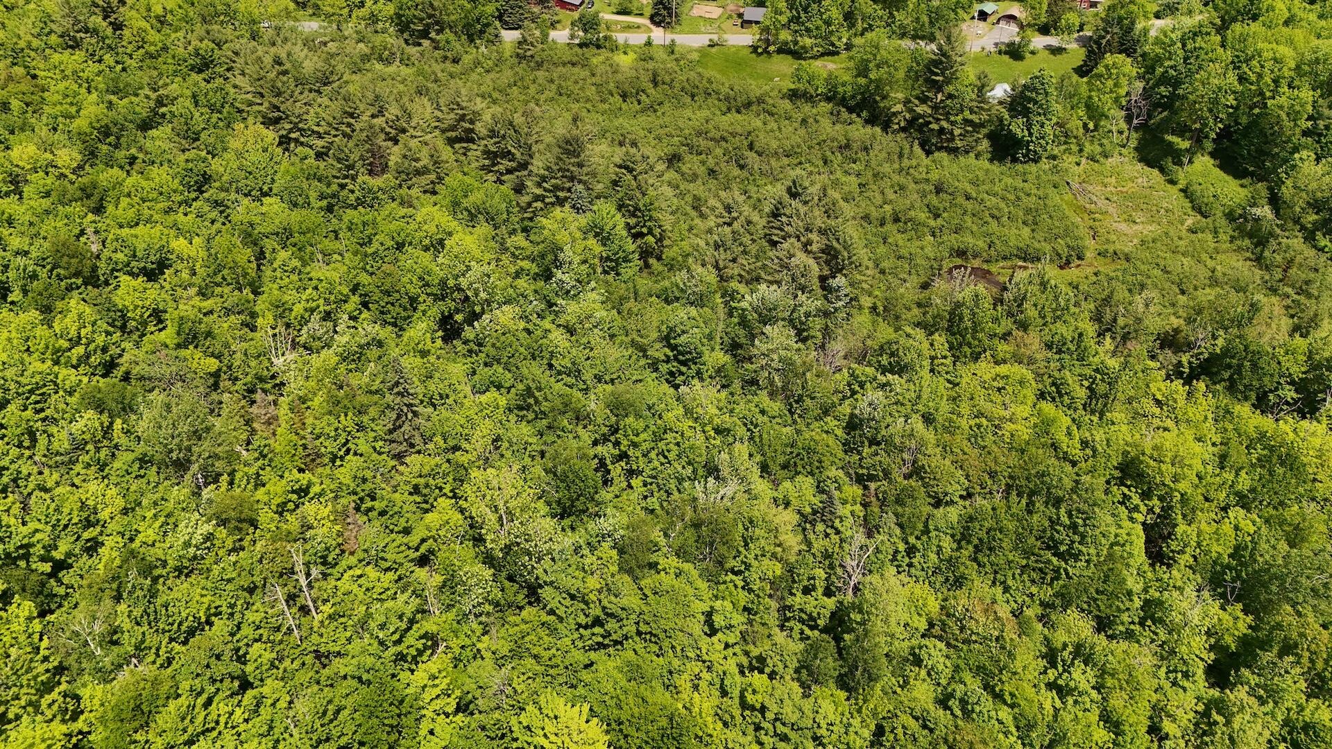 0 Trumbulls Road Upper Jay, NY 12987 - Photo 22 of 22
