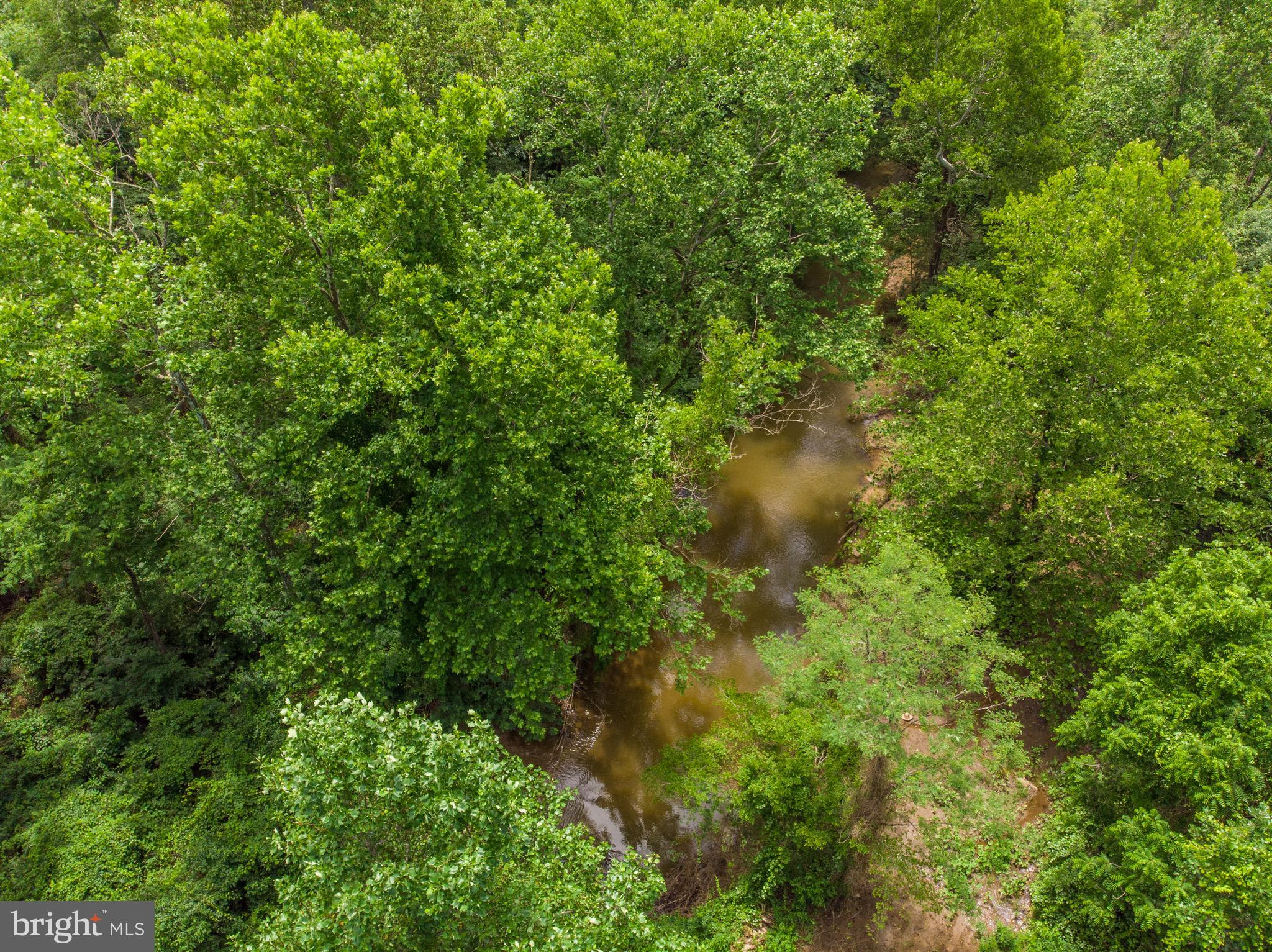 14061 Hume Road Hume, VA 22639 - Photo 85 of 91 Gallery Image 85