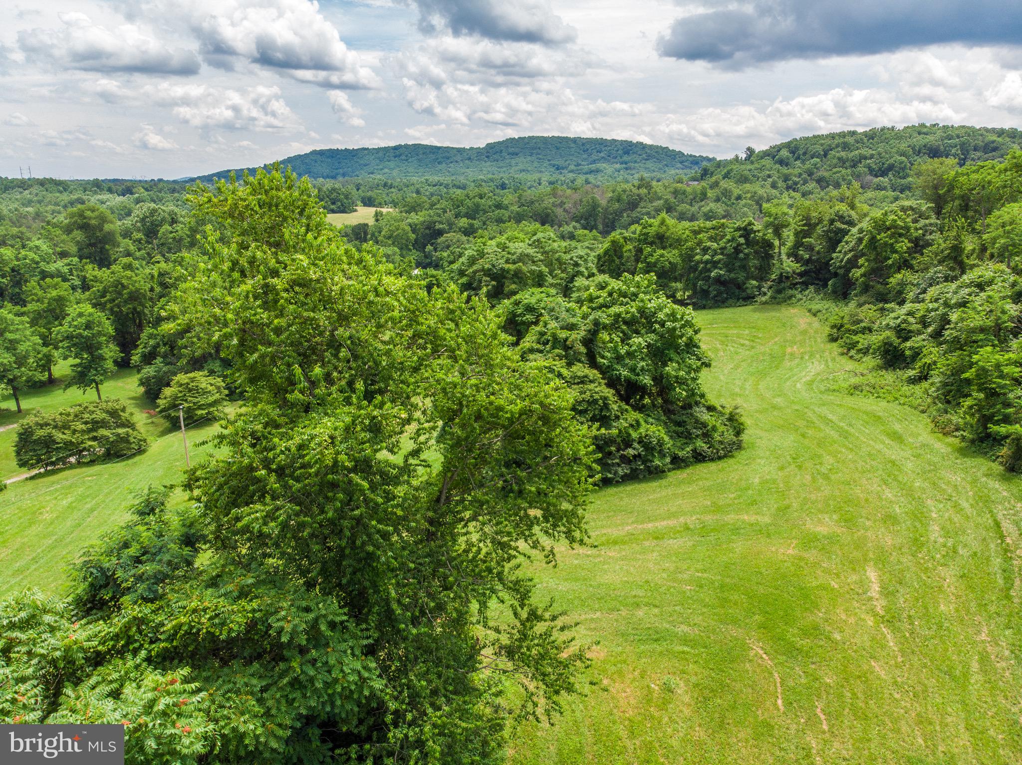 14061 Hume Road Hume, VA 22639 - Photo 86 of 91 Gallery Image 86