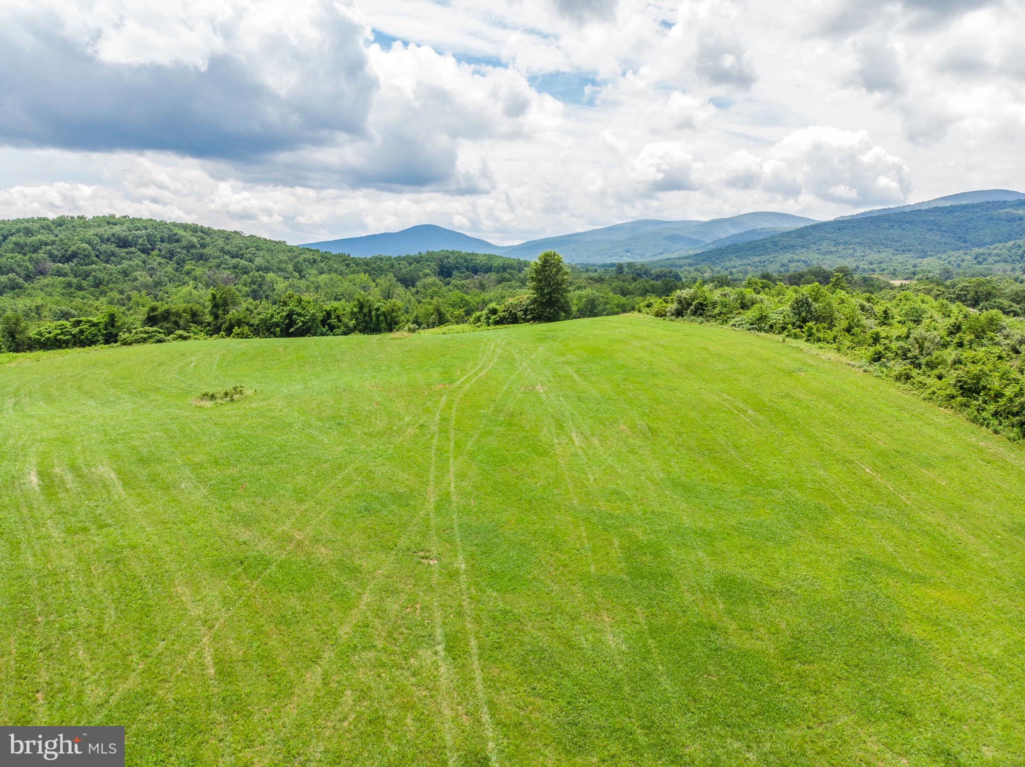 14061 Hume Road Hume, VA 22639 - Photo 88 of 91 Gallery Image 88