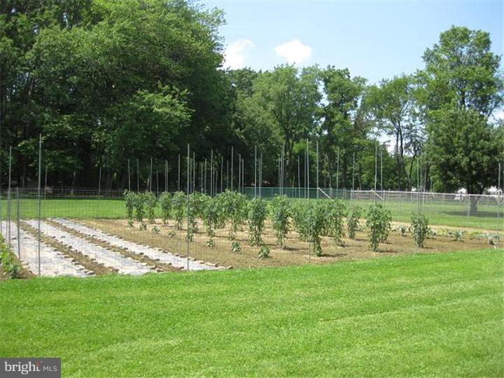 8 Meetinghouse Road Hatboro, PA 19040 - Photo 22 of 25 Garden