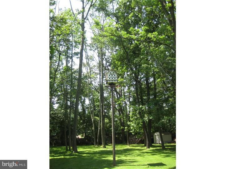 8 Meetinghouse Road Hatboro, PA 19040 - Photo 23 of 25 Back Yard
