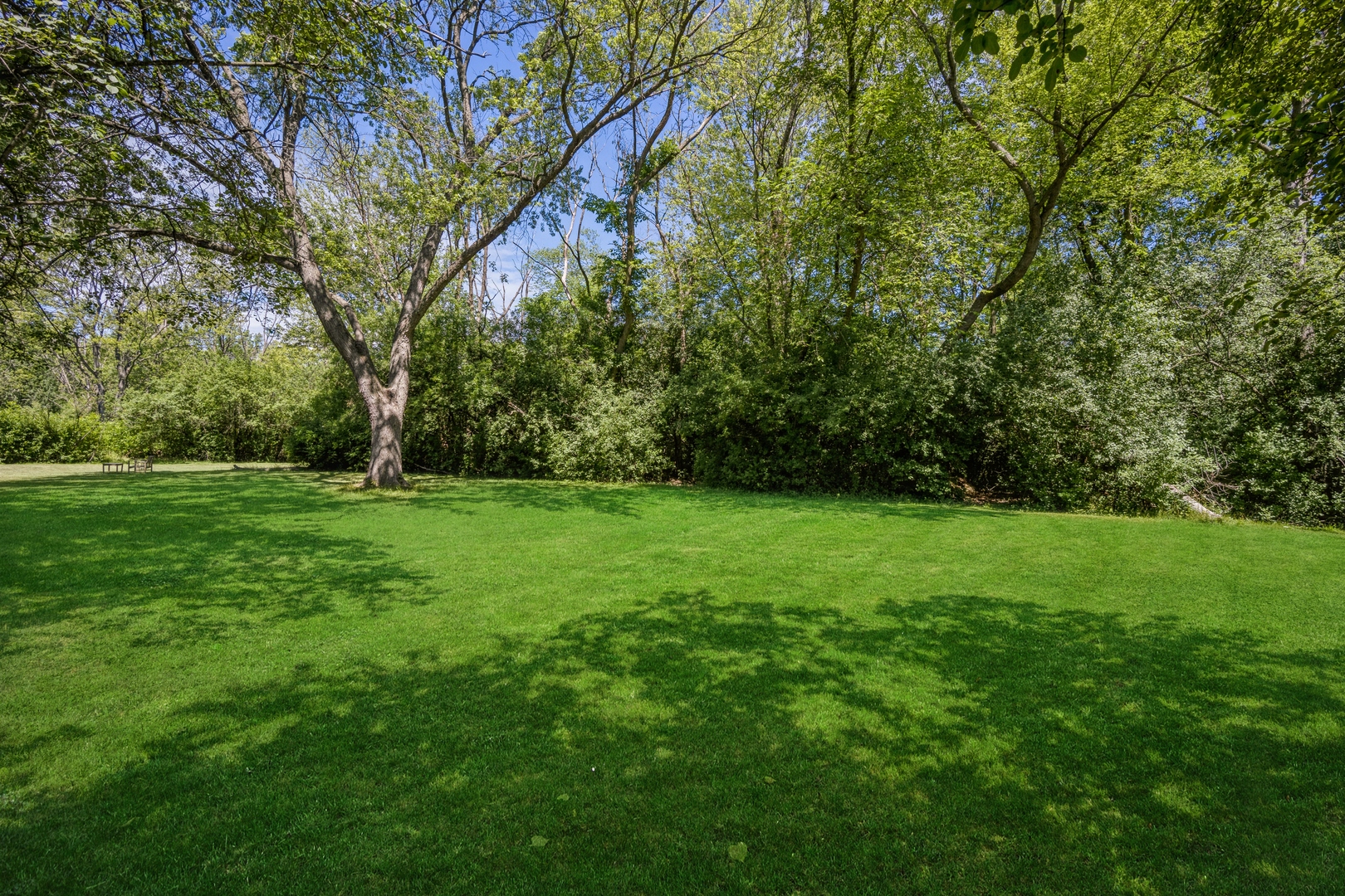 1008 Shermer Road Northbrook, IL 60062 - Photo 5 of 20 a view of green field with trees in the background