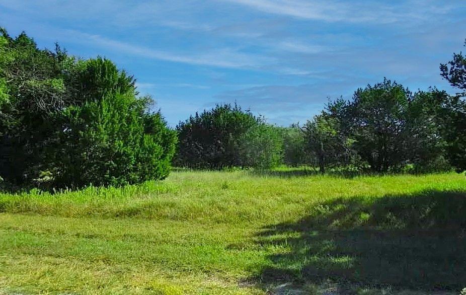 a view of a garden