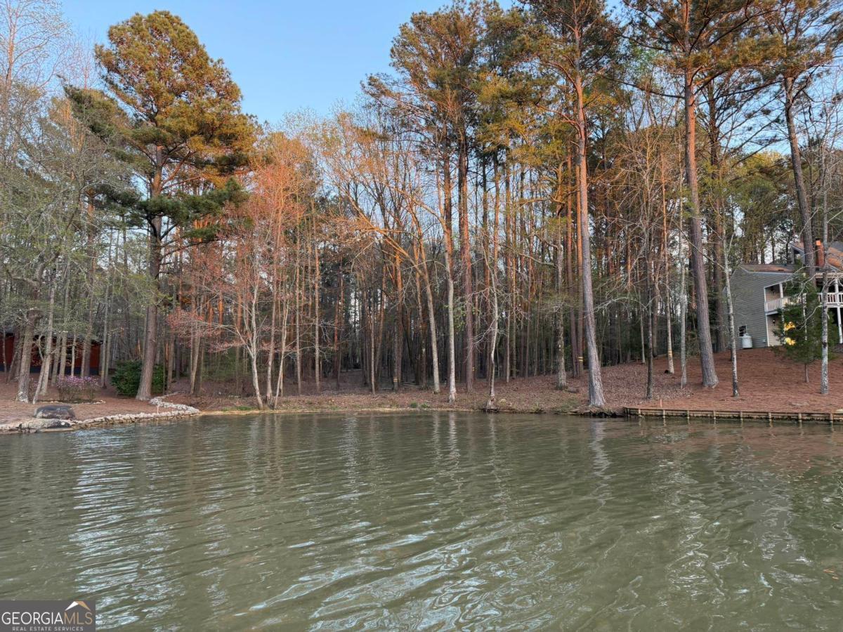 1290 Tal Lewis Road White Plains, GA 30678 - Photo 11 of 19 a view of pool with trees in the background