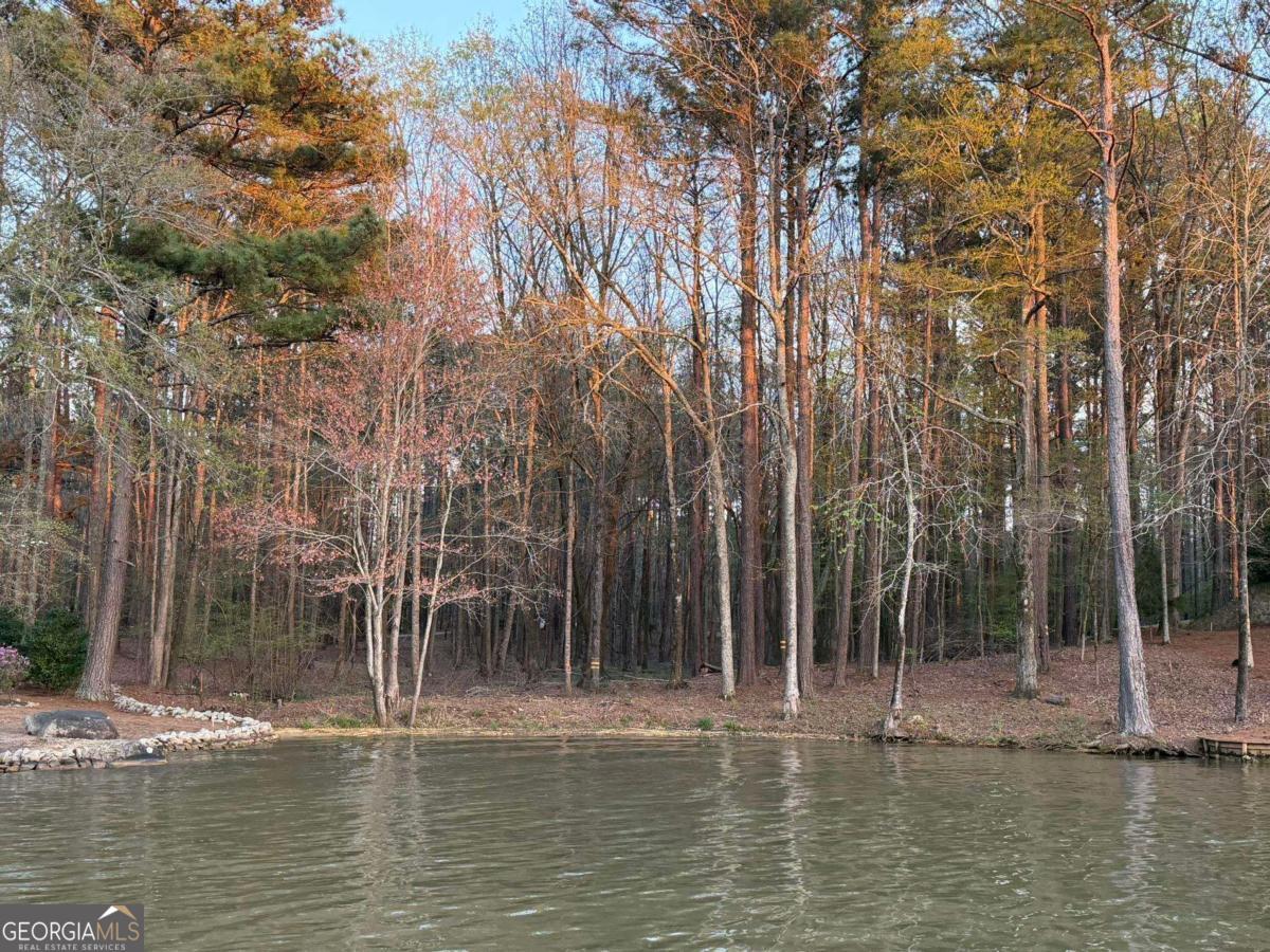 1290 Tal Lewis Road White Plains, GA 30678 - Photo 12 of 19 a view of lake with trees