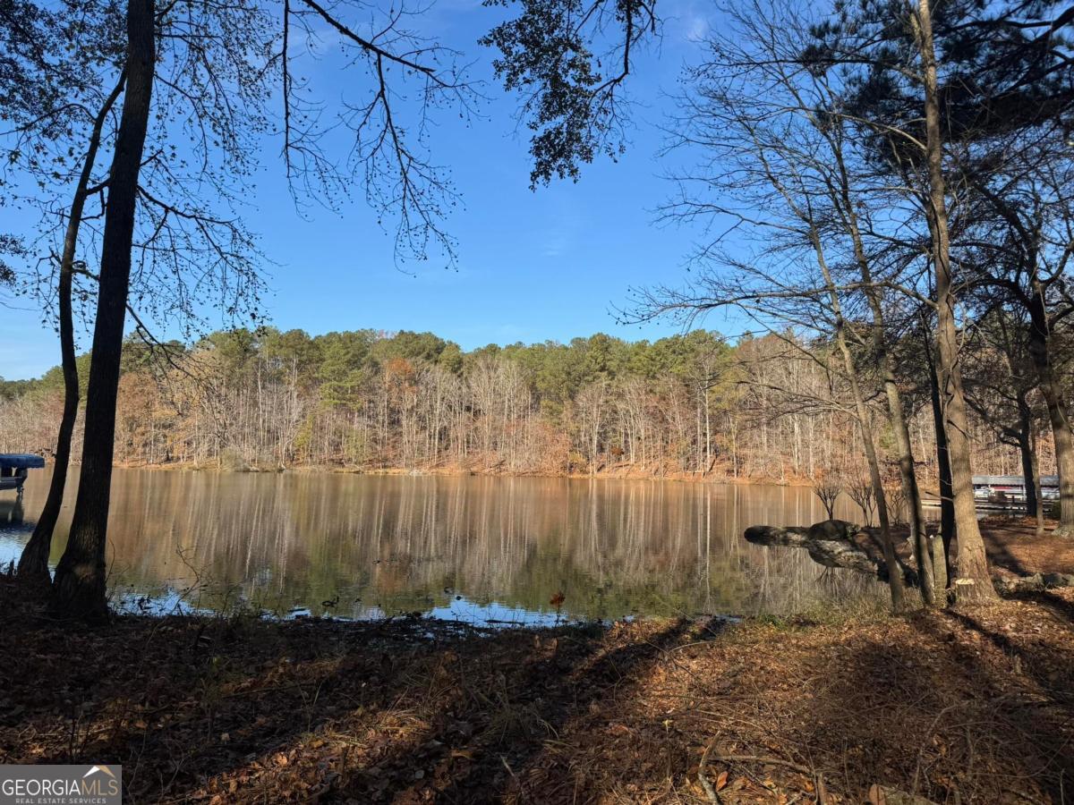 1290 Tal Lewis Road White Plains, GA 30678 - Photo 13 of 19 a view of backyard with green space
