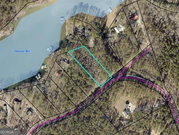 1290 Tal Lewis Road White Plains, GA 30678 - Photo 15 of 19