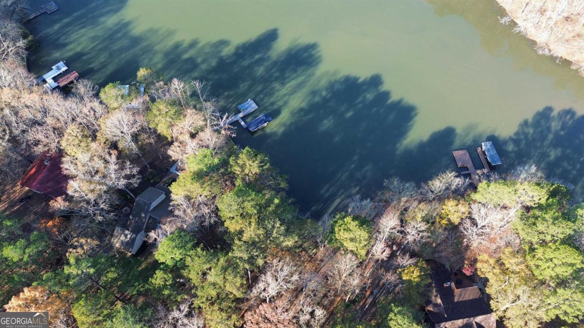 1290 Tal Lewis Road White Plains, GA 30678 - Photo 2 of 19