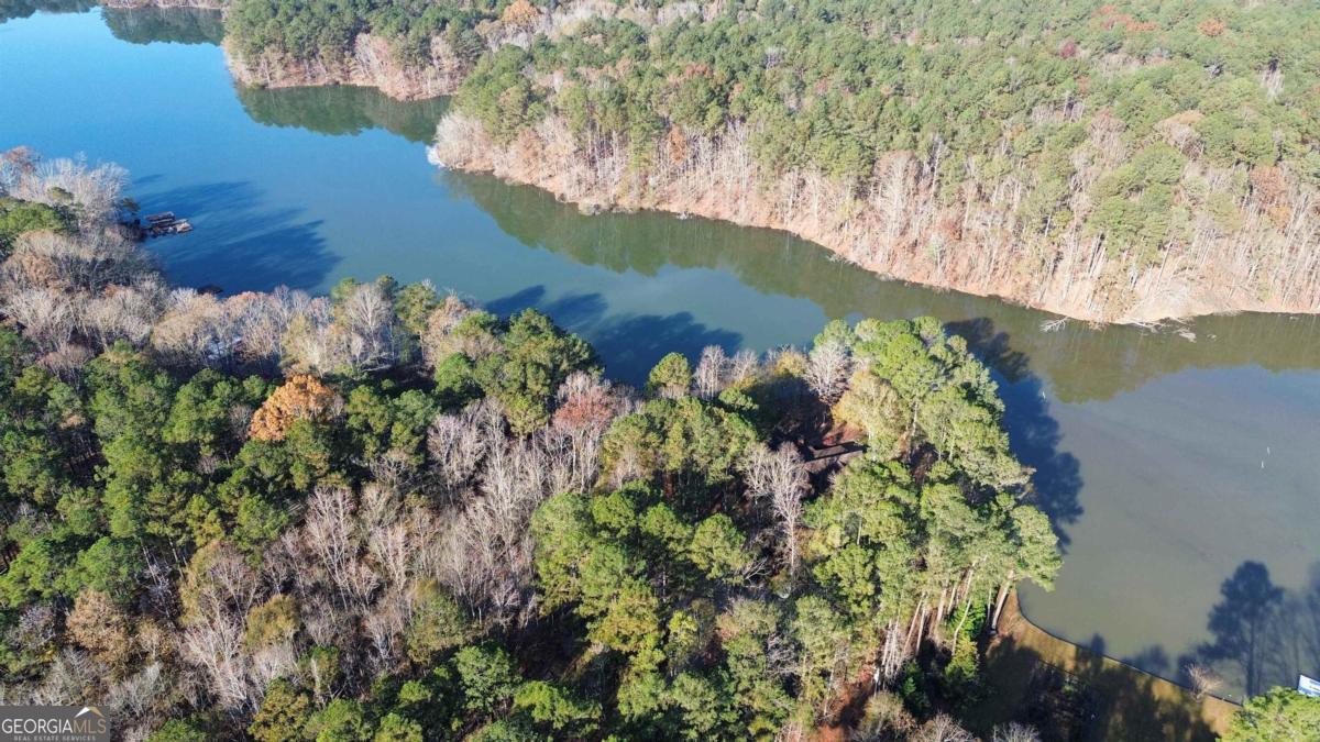 1290 Tal Lewis Road White Plains, GA 30678 - Photo 3 of 19 a view of a garden with a lake