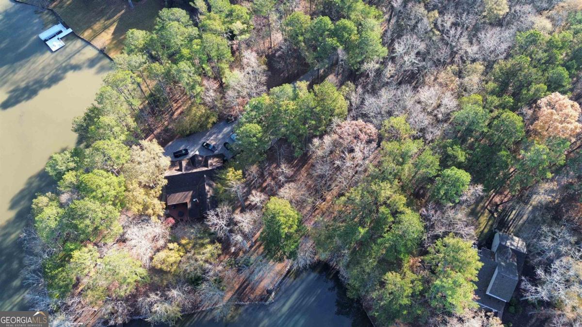 1290 Tal Lewis Road White Plains, GA 30678 - Photo 4 of 19 a plant that is in a garden