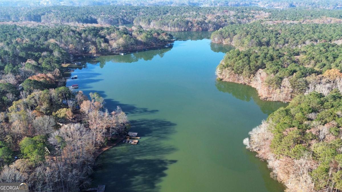 1290 Tal Lewis Road White Plains, GA 30678 - Photo 6 of 19 a view of a lake with green space