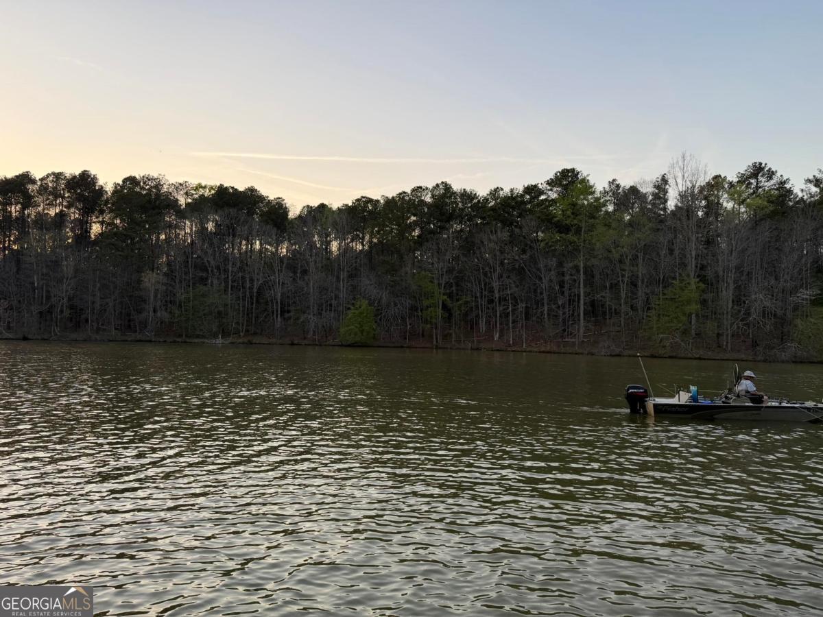 1290 Tal Lewis Road White Plains, GA 30678 - Photo 8 of 19 a view of a lake view