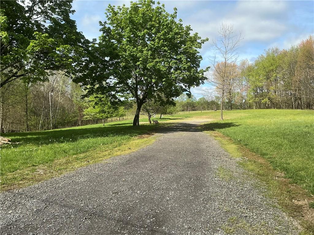 777 Sleepy Hollow Road Indiana, PA 15701 - Photo 8 of 8