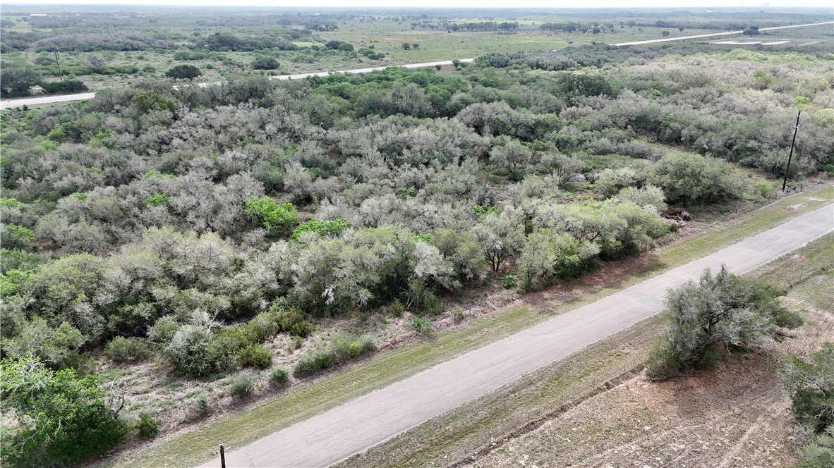 386 Old Goliad Road Refugio, TX 78377 - Photo 4 of 10