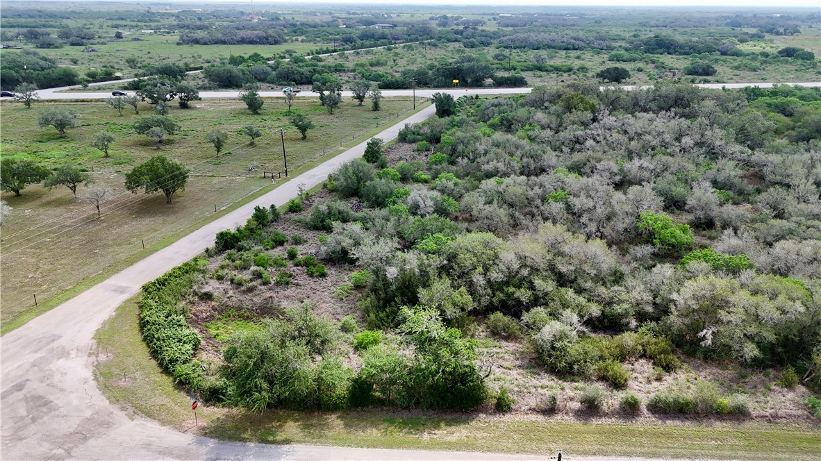 386 Old Goliad Road Refugio, TX 78377 - Photo 5 of 10