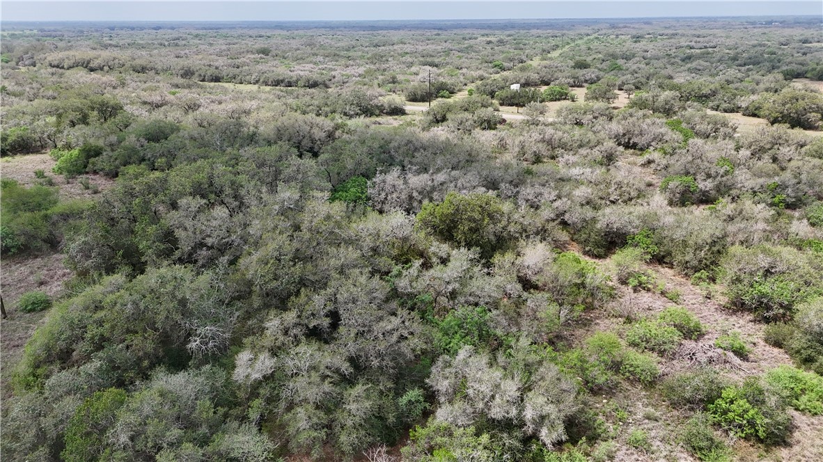 386 Old Goliad Road Refugio, TX 78377 - Photo 7 of 10