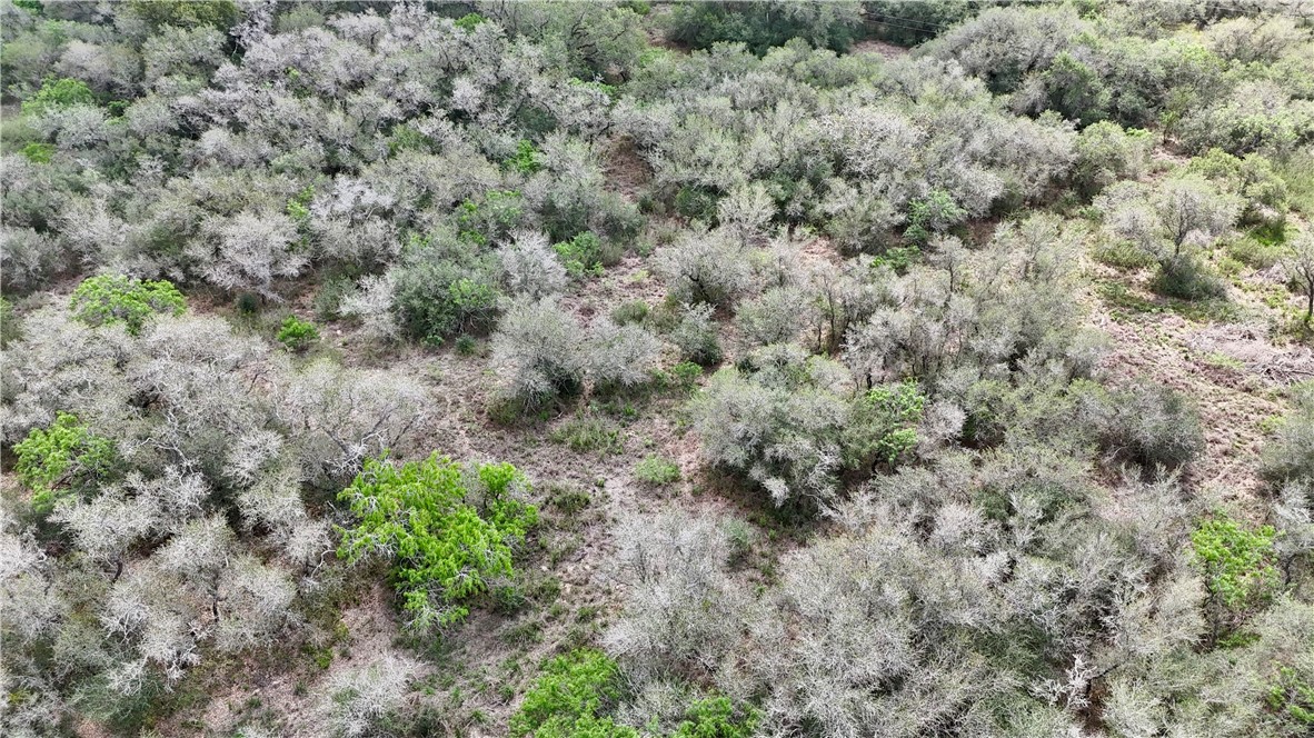 386 Old Goliad Road Refugio, TX 78377 - Photo 9 of 10