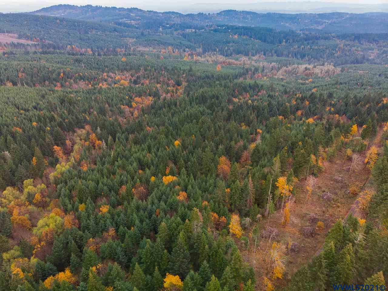 17935 Robb Mill Road Dallas, OR 97338 - Photo 6 of 19 an aerial view of forest