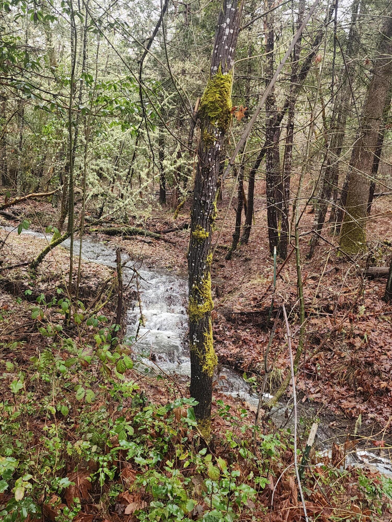 11238 East Evans Creek Road Rogue River, OR 97537 - Photo 23 of 29 a backyard of a building