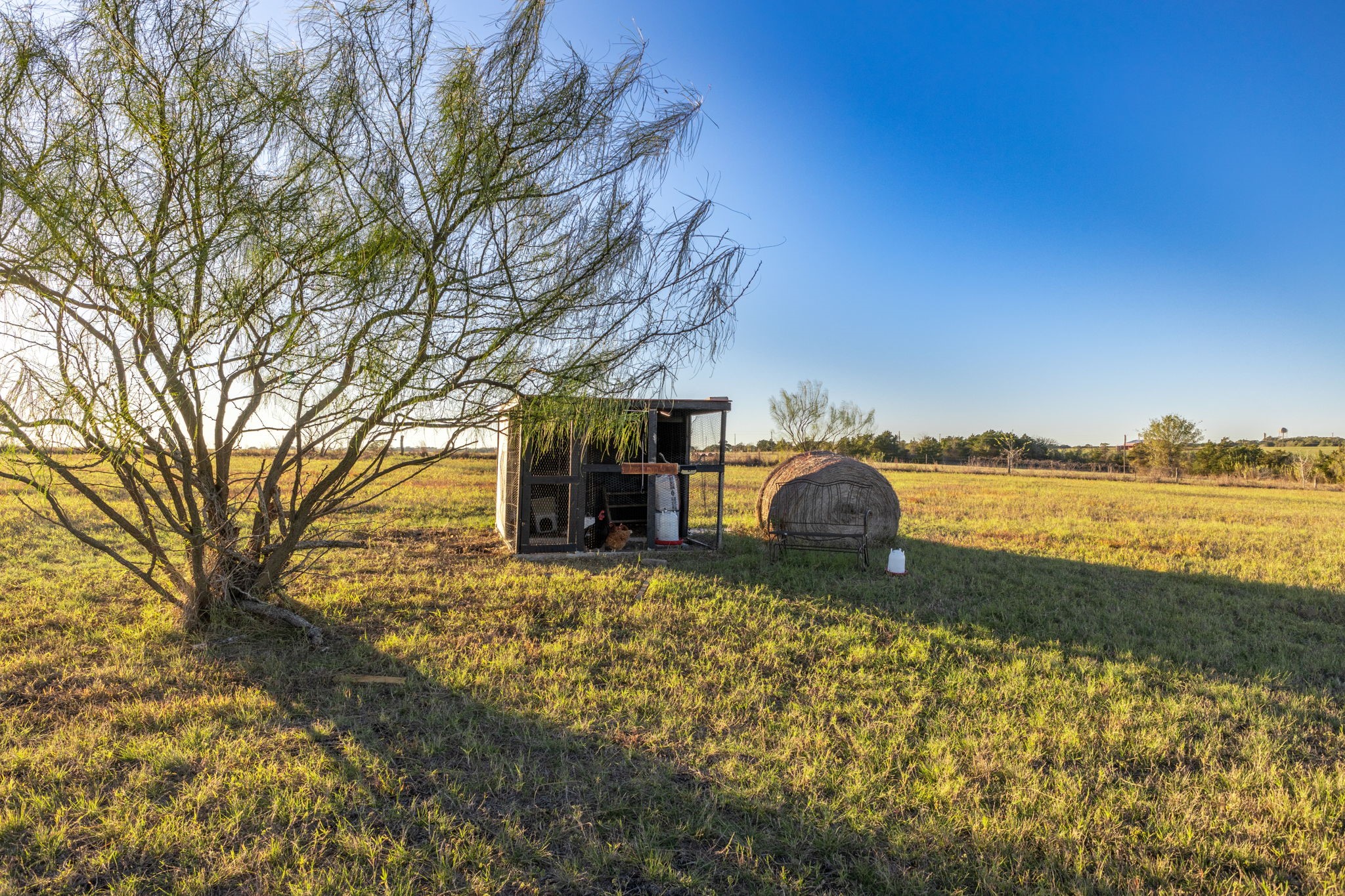 0 Schulze Road Muldoon, TX 78949 - Photo 25 of 28 a view of a lake with a big yard