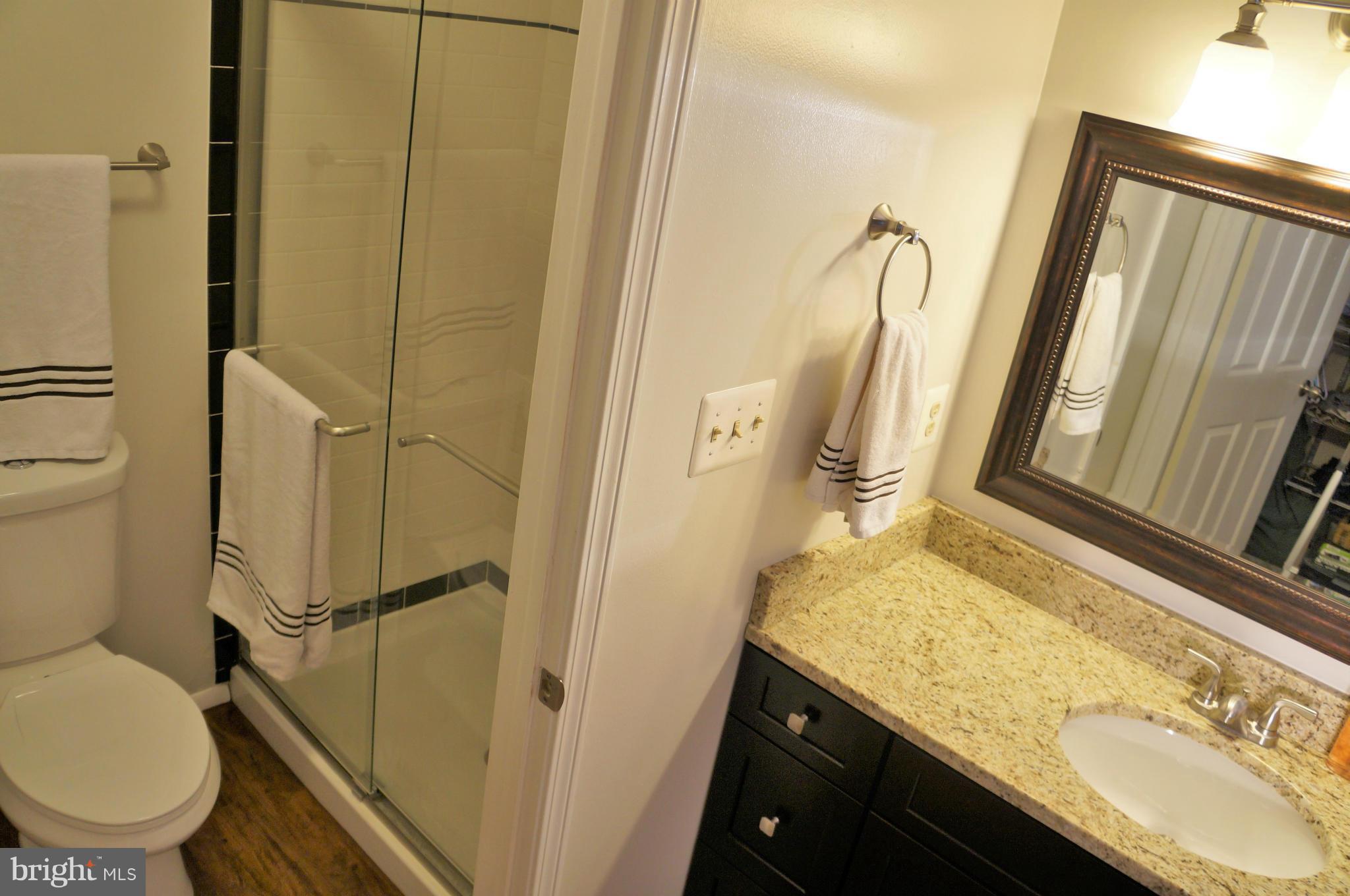 5816 Canvasback Road Burke, VA 22015 - Photo 14 of 25 Bath (Master)