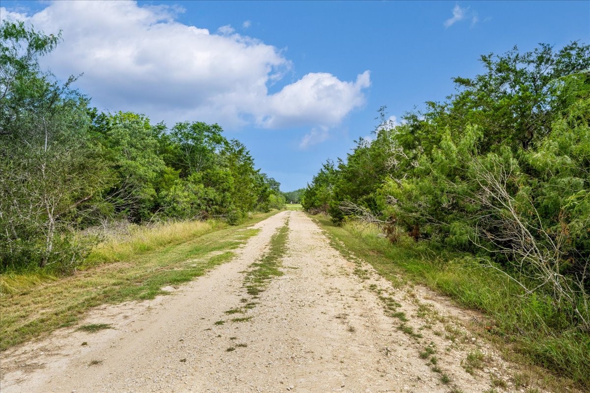2845 Boehnke Road Muldoon, TX 78949 - Photo 14 of 39 a view of a yard with plants and large trees