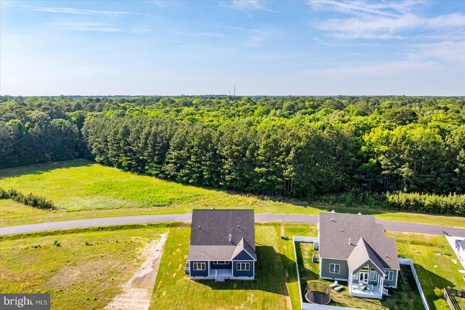 75 King Richard Road Berlin, MD 21811 - Photo 64 of 107 Aerial view of the home
