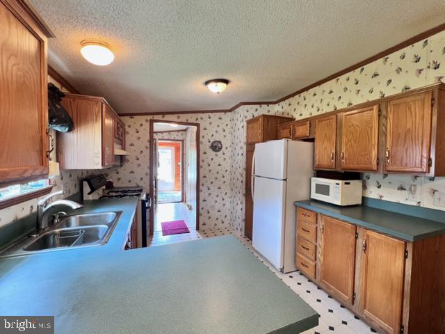 6 Raven Court Elkton, MD 21921 - Photo 13 of 45 Double Sink & Peninsula with Seating in Kitchen
