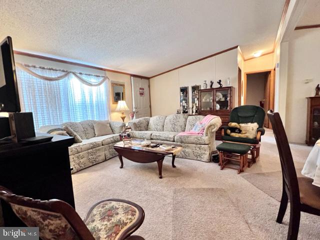 6 Raven Court Elkton, MD 21921 - Photo 7 of 45 Living Room-Newer Neutral Carpeting