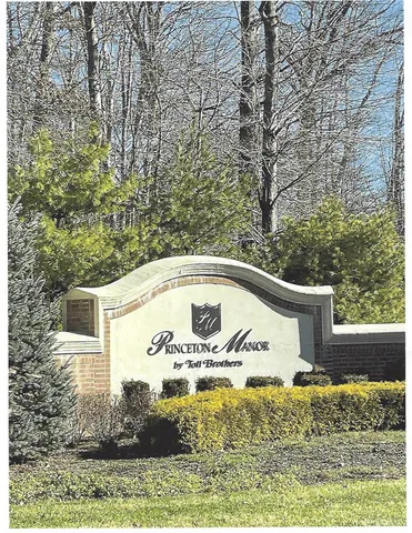 a view of a back yard of the house