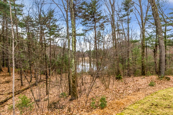 69 Claypit Hill Road Wayland, MA 01778 - Photo 19 of 22 Gallery Image 19
