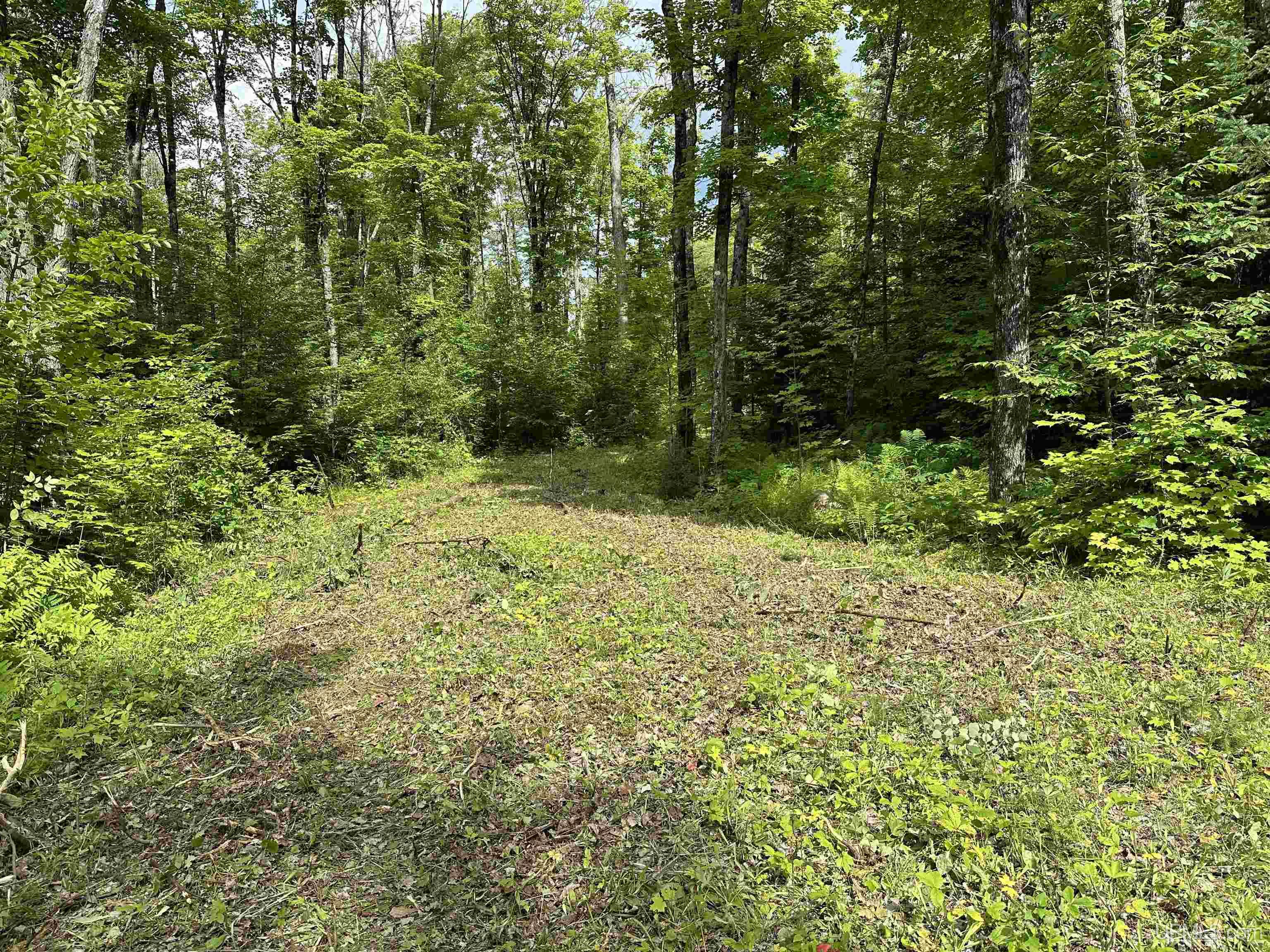 8300 Rd Marenisco Mi 49947 Road Marenisco, MI 49947 - Photo 4 of 13