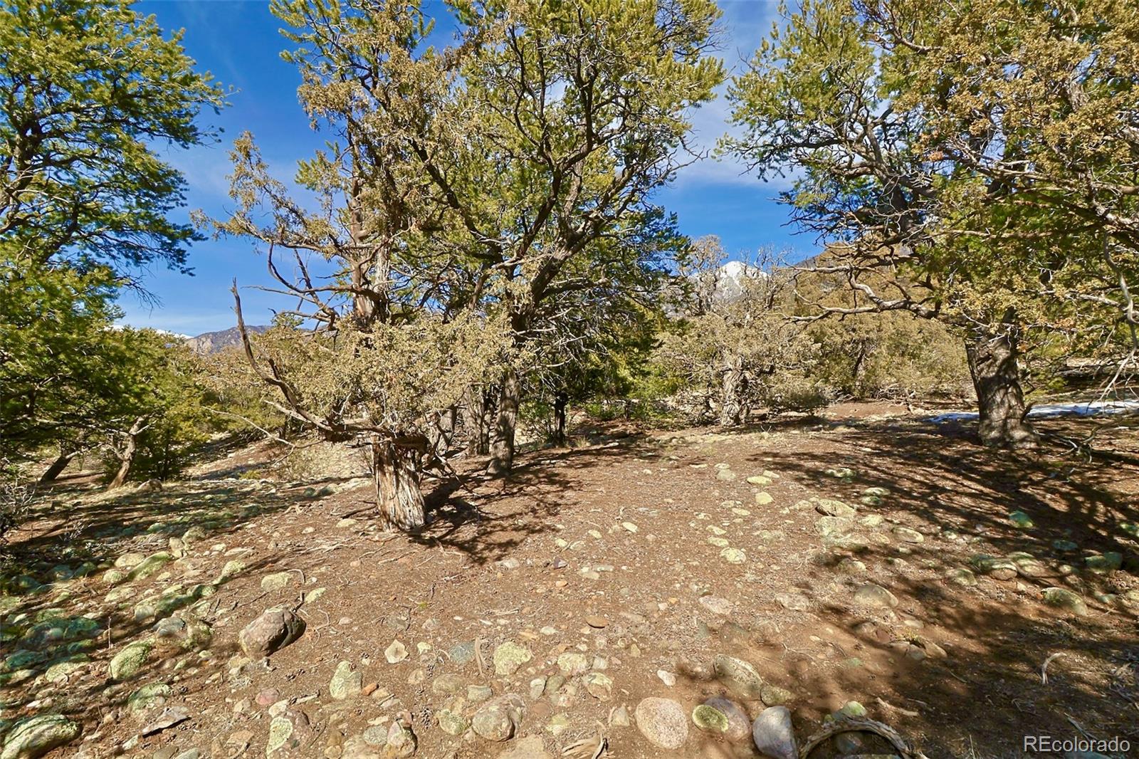 2130 Big Ranch Overlook, Unit OVERLOOK Crestone, CO 81131 - Photo 3 of 6