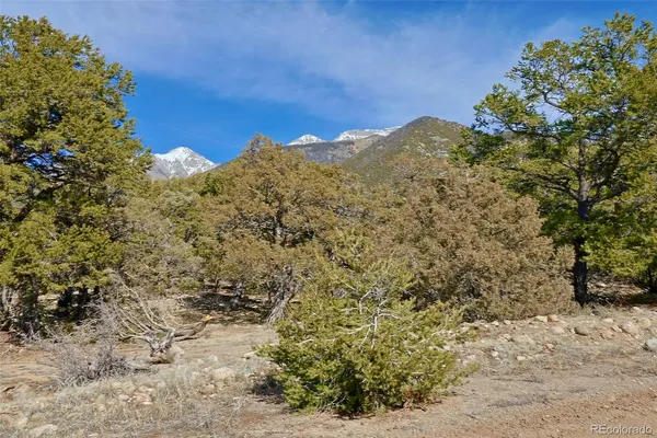 a view of a road with trees in the background