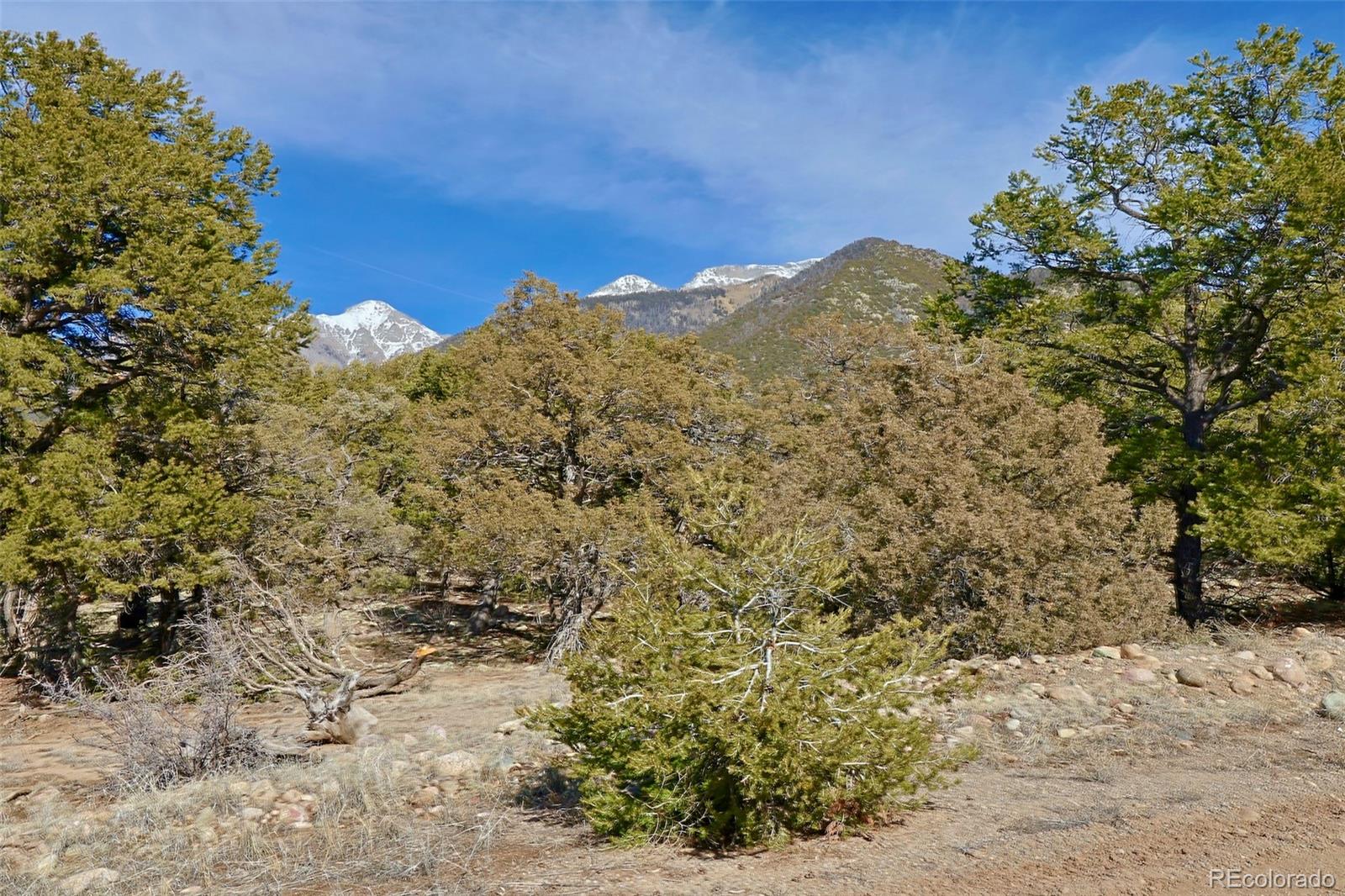 2130 Big Ranch Overlook, Unit OVERLOOK Crestone, CO 81131 - Photo 4 of 6 a view of a field