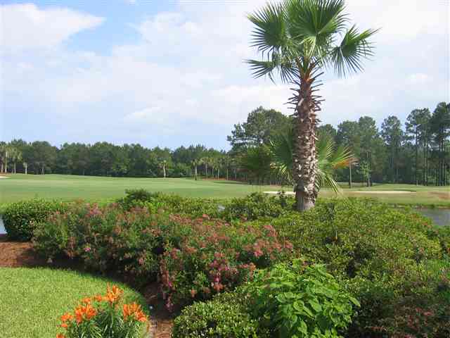 281 Pickering Drive Murrells Inlet, SC 29576 - Photo 10 of 10 Gallery Image 10