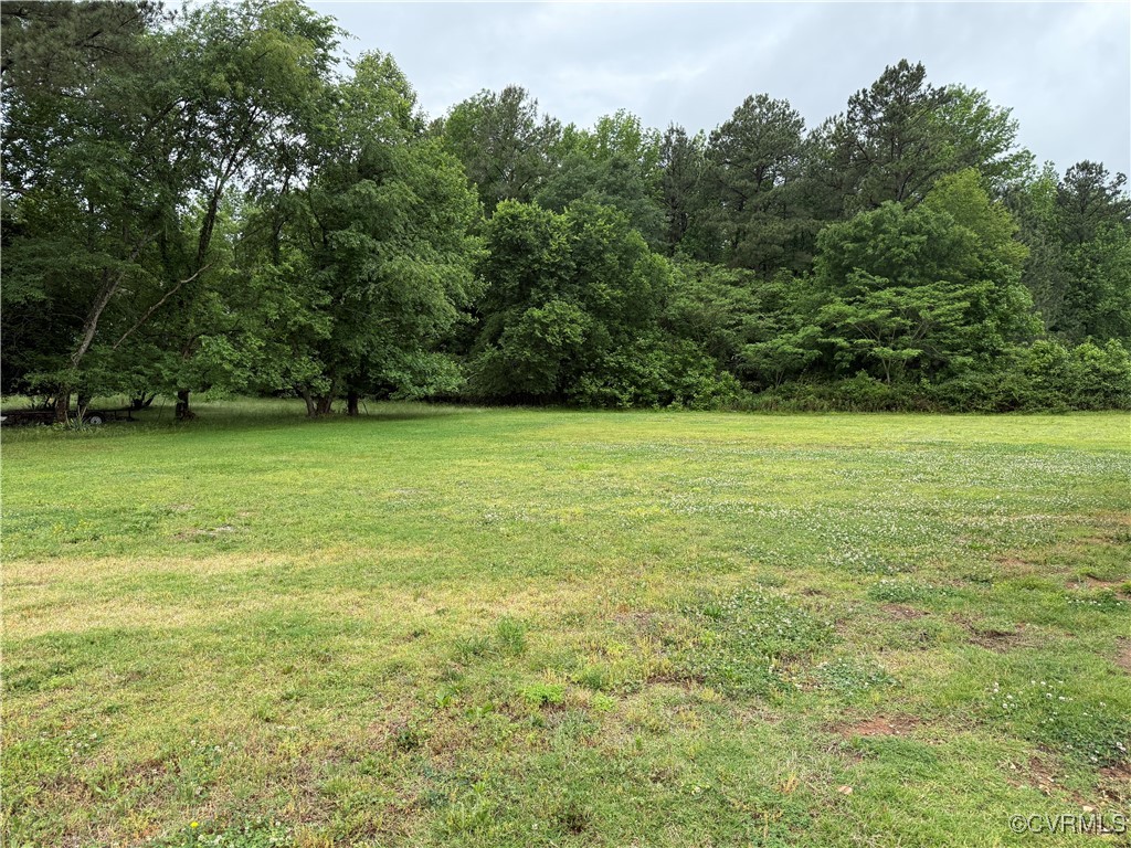8900 Strath Road Henrico, VA 23231 - Photo 5 of 49 View of yard