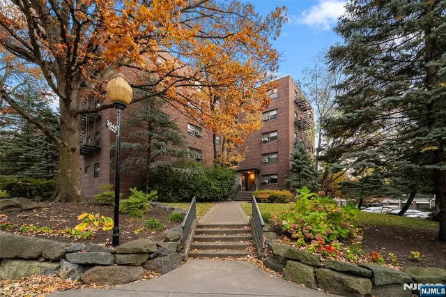 a park view with tall trees