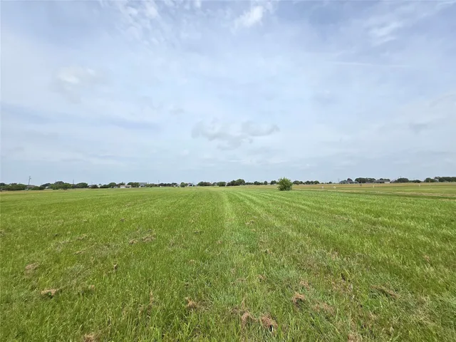 a view of a house with a yard and potted plants