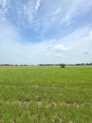a view of an outdoor and green space