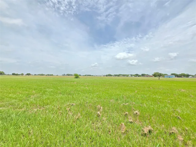 view of field with grass and trees