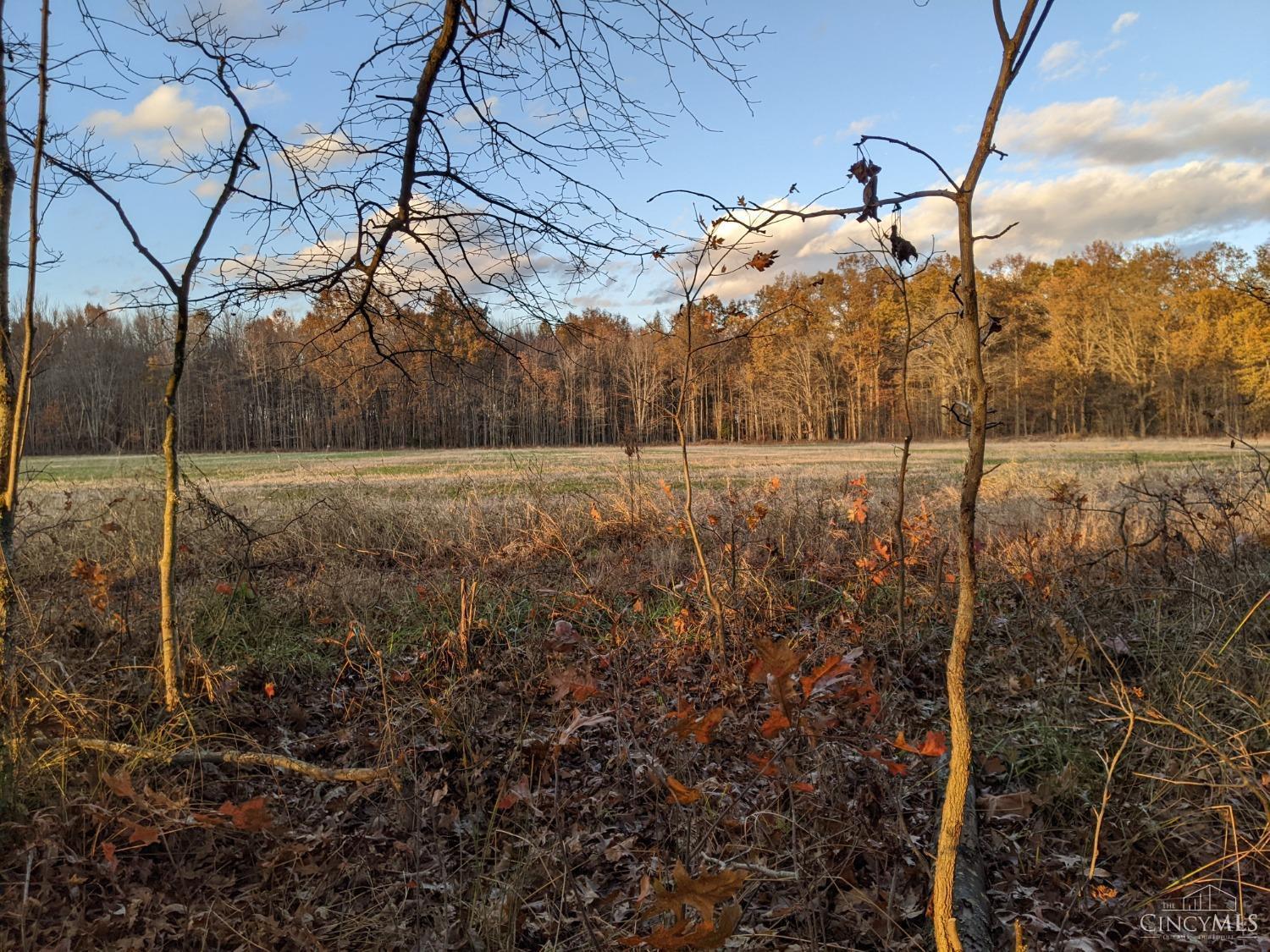 Acres Yankeetown Road Hamersville, OH 45130 - Photo 6 of 13