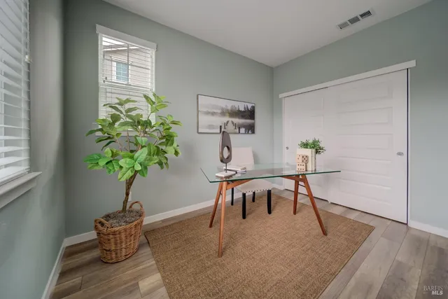 a living room with furniture and a potted plant