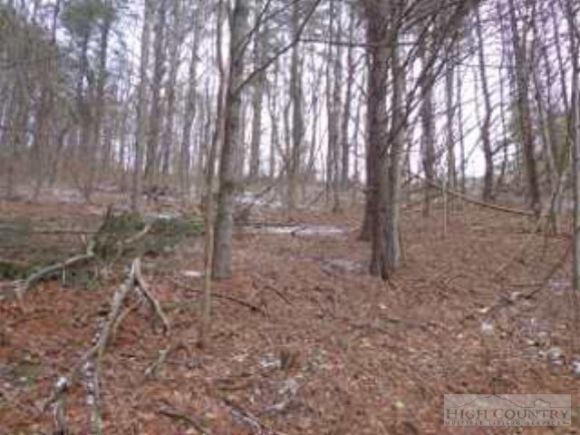 807 Quail Hollow Road Crumpler, NC 28617 - Photo 11 of 26 Gallery Image 11