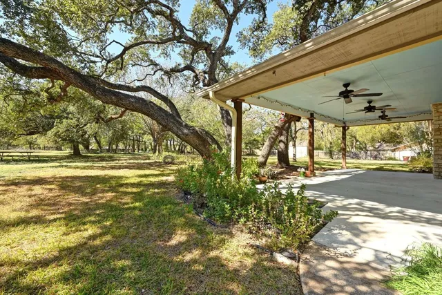 a view of a yard with plants