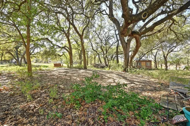 a view of outdoor space with trees