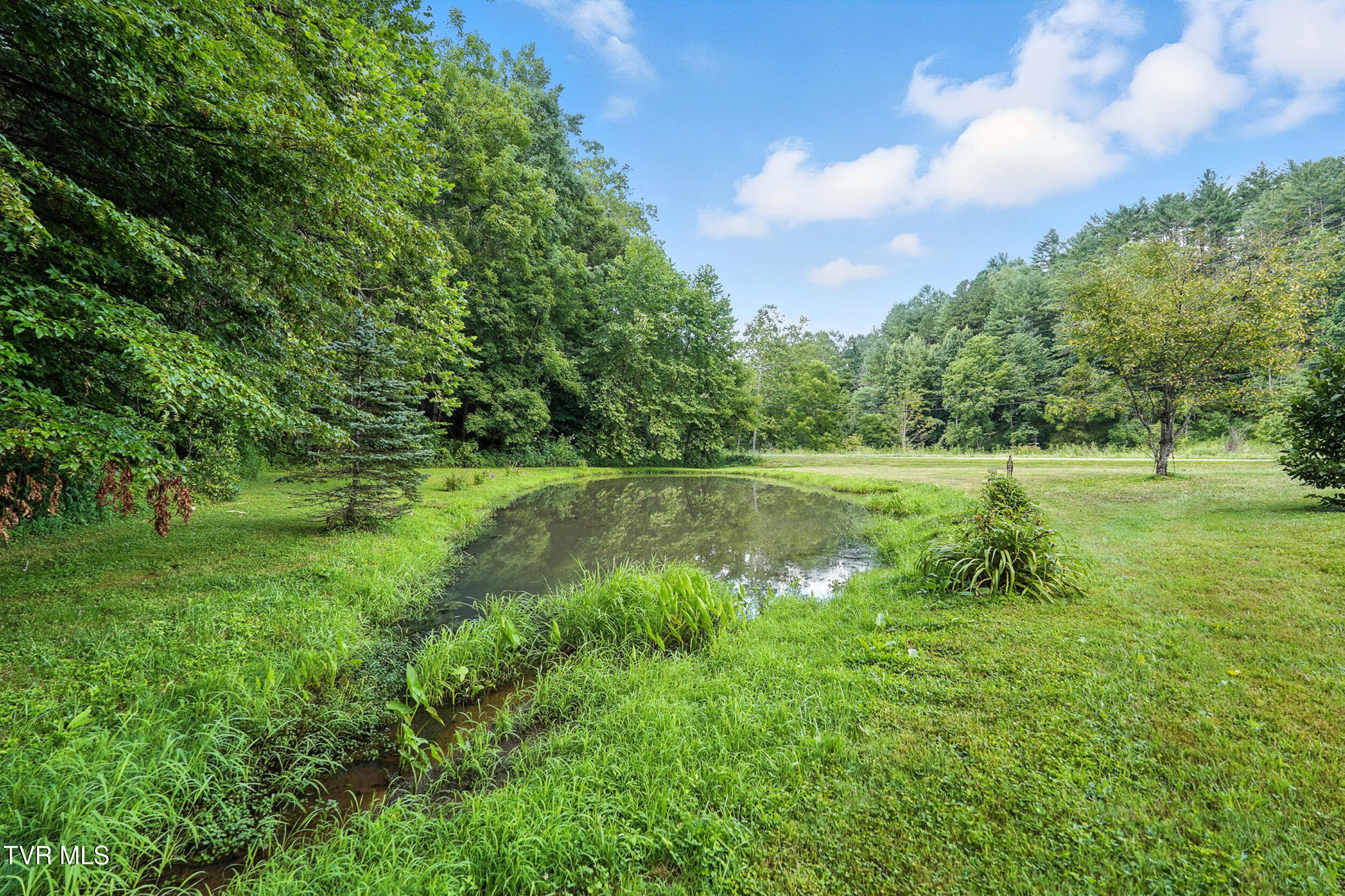 810 Big Dry Run Road Mountain City, TN 37683 - Photo 36 of 41 43_014_dsc00359