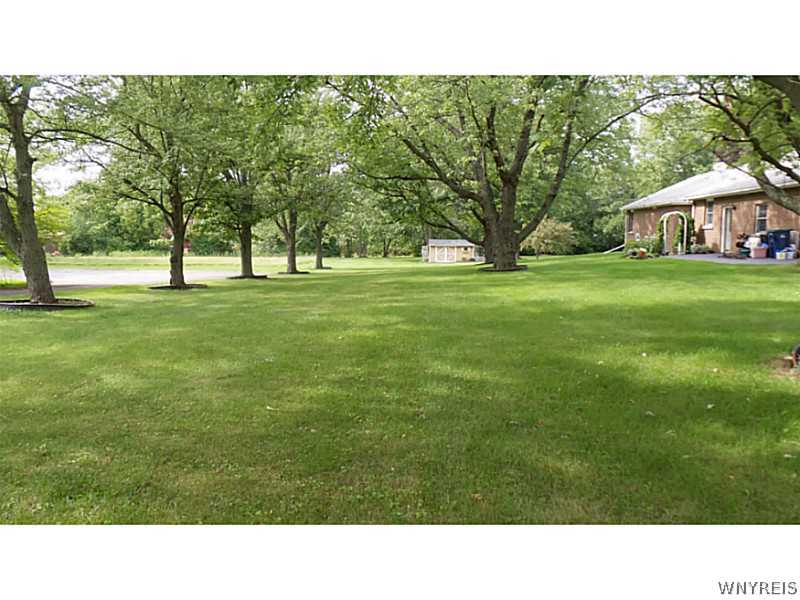 4109 Beach Ridge Road Pendleton, NY 14120 - Photo 10 of 25 Land. You will think that you are in a park everyt