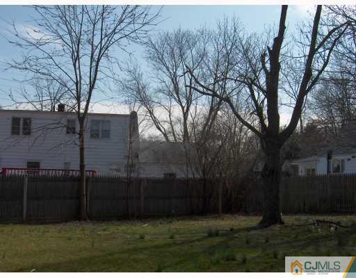 53 Tunison Road New Brunswick, NJ 08901 - Photo 8 of 10 a view of backyard with green space
